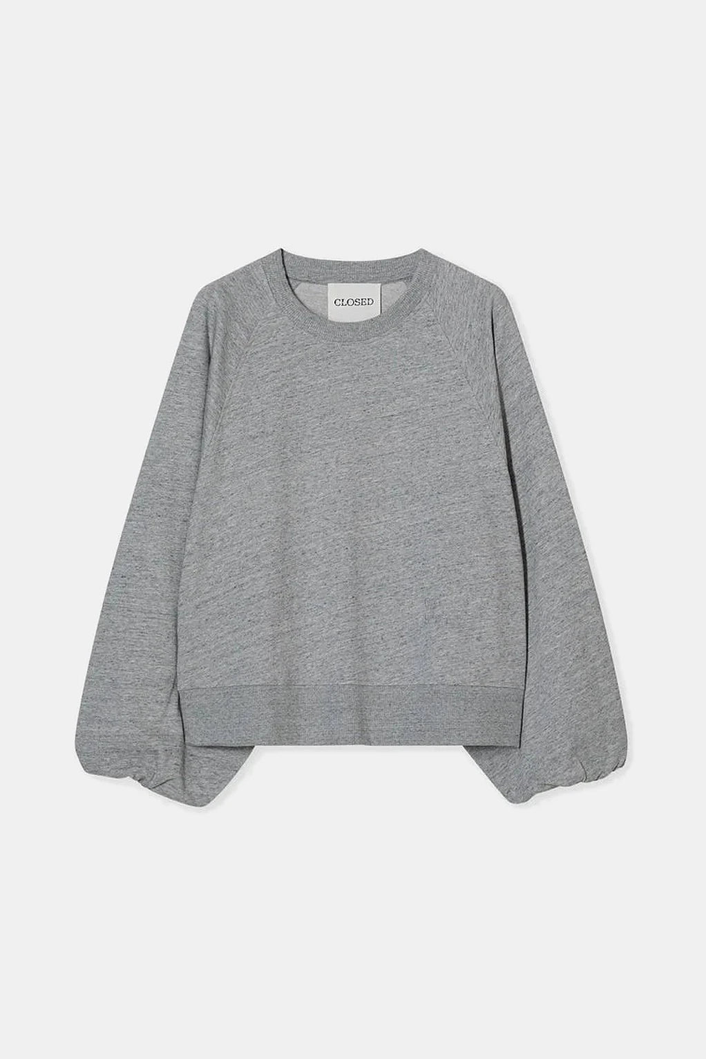 Sweatshirt Raglan